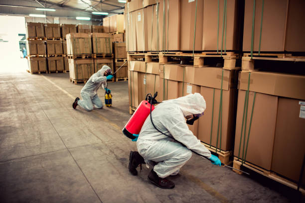 Flea Control Services in Granite, OK