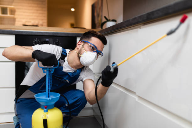 Best Emergency Pest Control  in Granite, OK