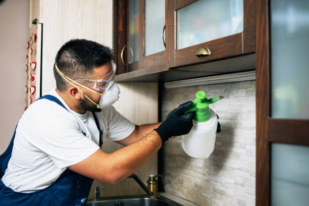 Wildlife Control Services in Granite, OK
