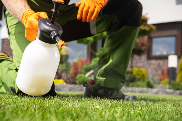 Best Pest Prevention Services  in Granite, OK