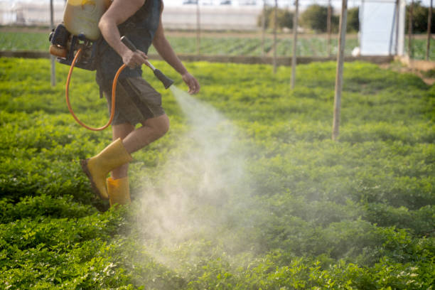 Best Affordable Pest Control Services  in Granite, OK