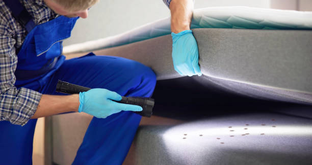 Best Pest Control Near Me  in Granite, OK