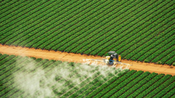 Best Commercial Pest Control Services  in Granite, OK