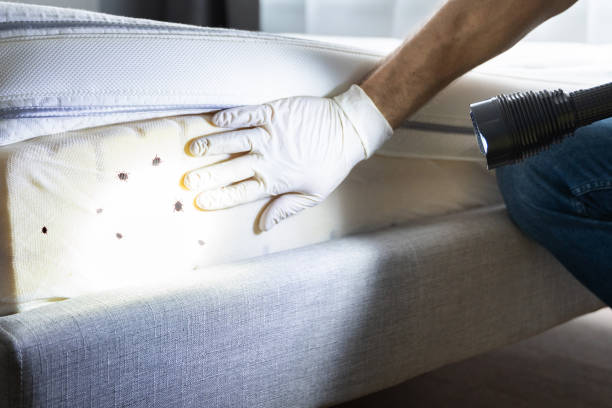 Best Commercial Pest Control Services  in Granite, OK