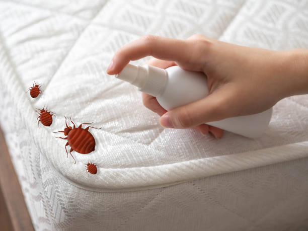 Best Best Pest Control Companies  in Granite, OK