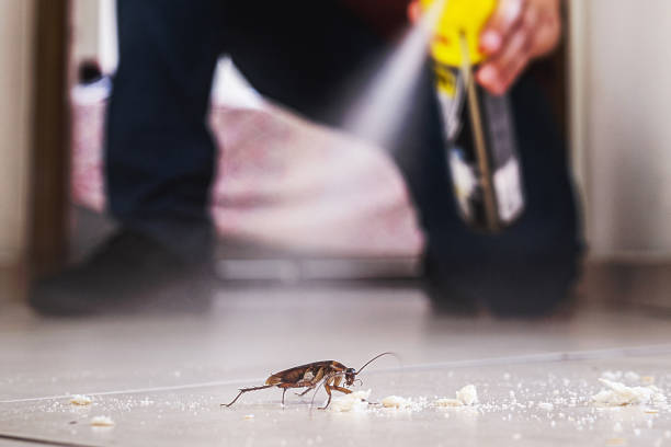 Best Flea Control Services  in Granite, OK