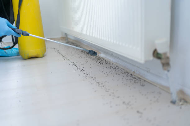Best Pest Removal Services  in Granite, OK